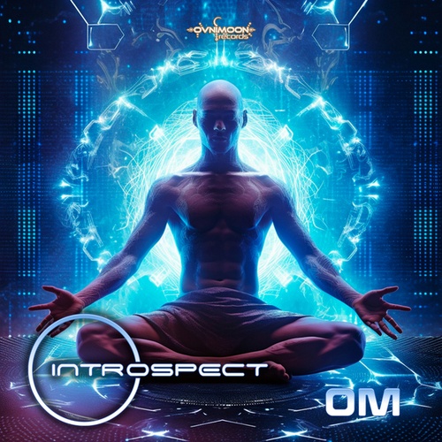 Introspect-Om