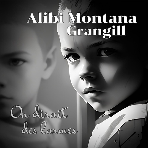 Alibi Montana-On dirait des larmes