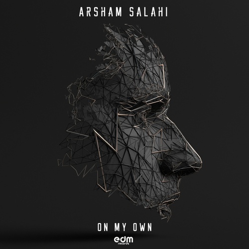 Arsham Salahi-On My Own