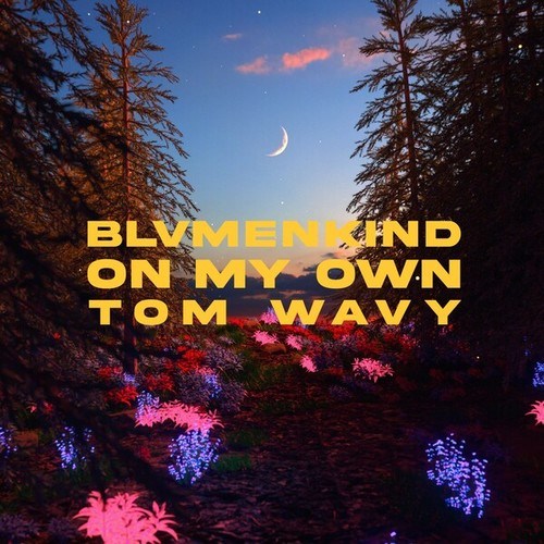 BLVMENKIND, Tom Wavy-On My Own