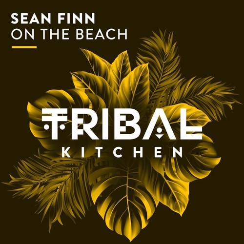 Sean Finn-On the Beach