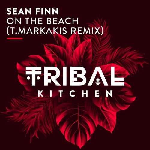 Sean Finn, T.Markakis-On the Beach (T.Markakis Extended Sunset Mix)