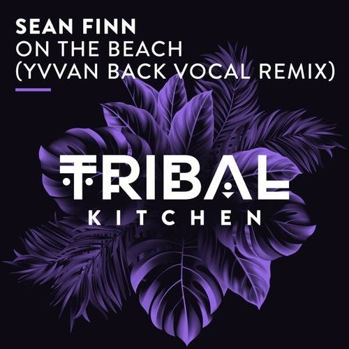 Sean Finn, Yvvan Back-On the Beach (Yvvan Back Vocal Extended Remix)