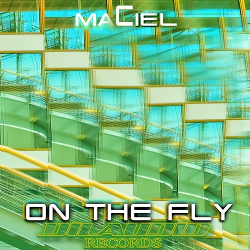 Maciel-On the Fly