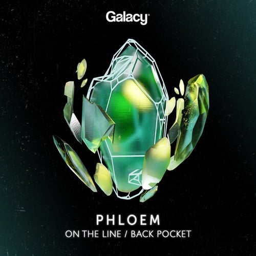 Phloem-On The Line / Back Pocket