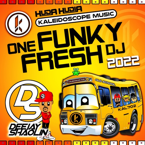 One Funky Fresh DJ
