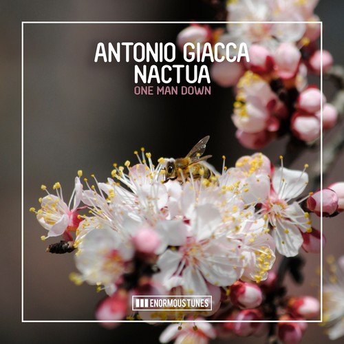 Antonio Giacca, Nactua-One Man Down