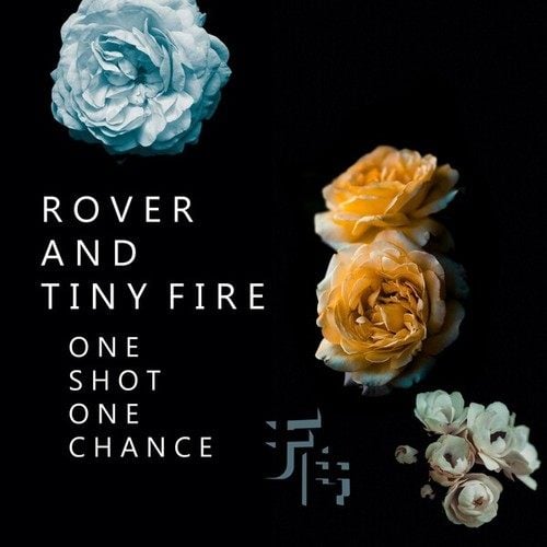 Rover And Tiny Fire-One Shot One Chance