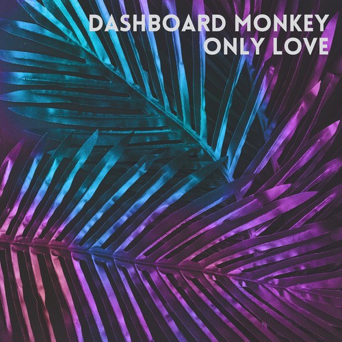 Dashboard Monkey-Only Love