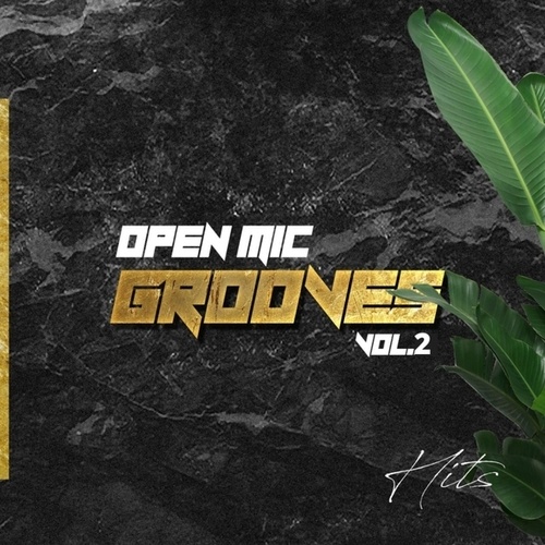 Open Mic Grooves Vol.2