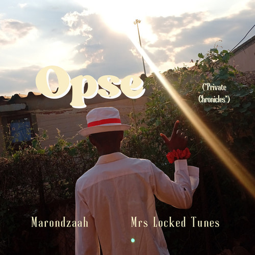 Opse (Private Chronicles)