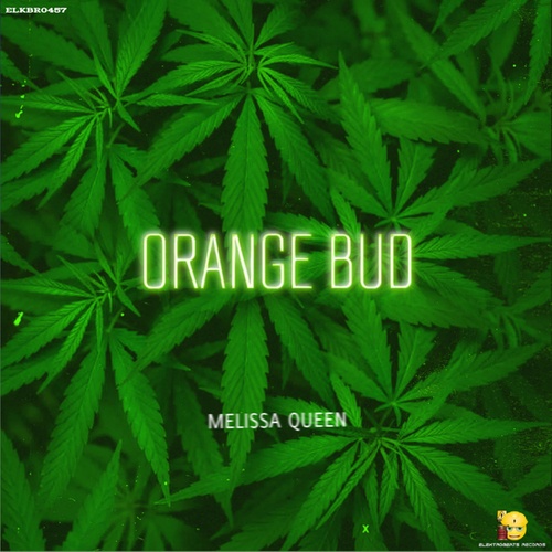 Melissa Queen-Orange Bud