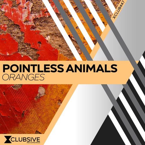 Pointless Animals-Oranges