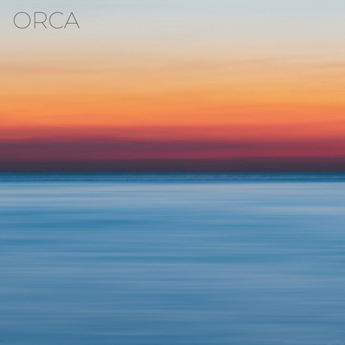 Orca