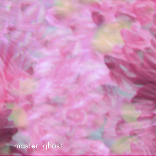 Master Ghost-orchid