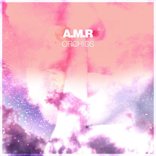 A.M.R-Orchids