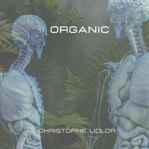 Christophe Lidlor-Organic