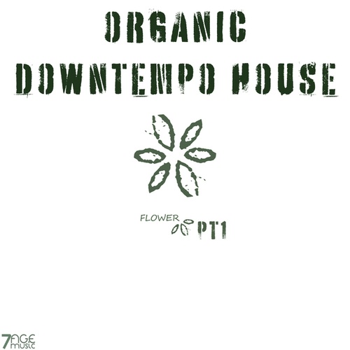 Various Artists-Organic Downtempo Flower House, Pt. 1