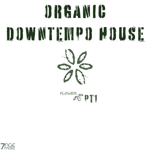 Various Artists-Organic Downtempo Flower House, Pt. 1