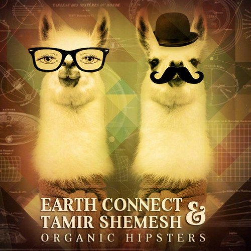 Earth Connect-Organic Hipsters