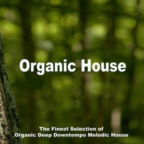 Various Artists-Organic House 2022 (The Finest Selection of Organic Deep Downtempo Melodic House)