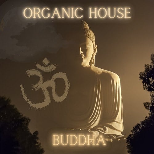 Various Artists-Organic House - Buddha