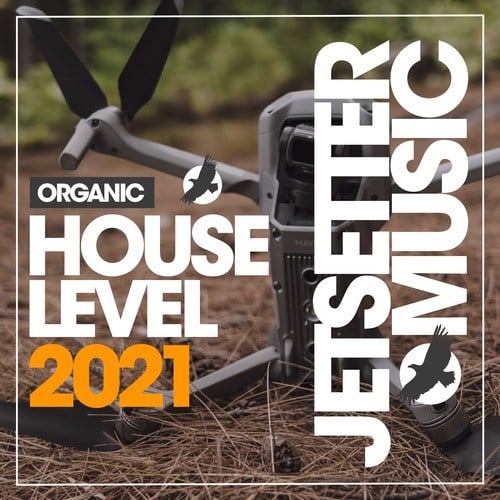 Various Artists-Organic House Level 2021