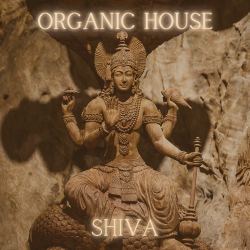 Various Artists-Organic House - Shiva