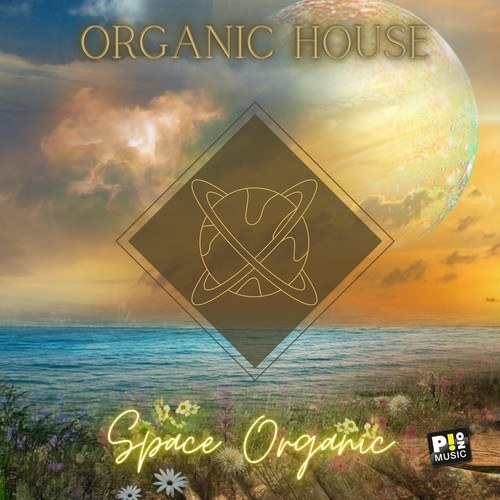 Various Artists-Organic House - Space Organic