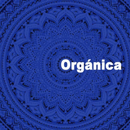 Various Artists-Orgánica (The Ultimate Deep Tribal Electronic & Organic Playlist)