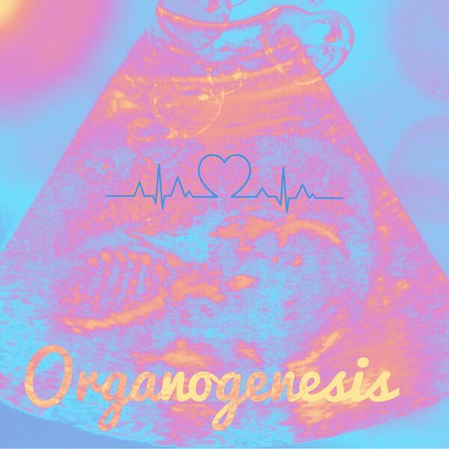 Organogenesis