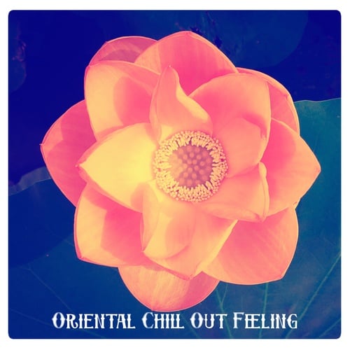 Various Artists-Oriental Chill Out Feeling