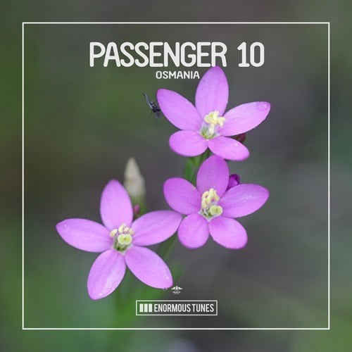 Passenger 10-Osmania