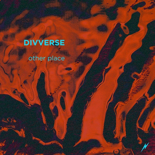 Divverse-Other Place