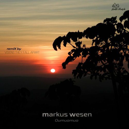 Markus Wesen, Visions They Fall Apart-Oumuamua