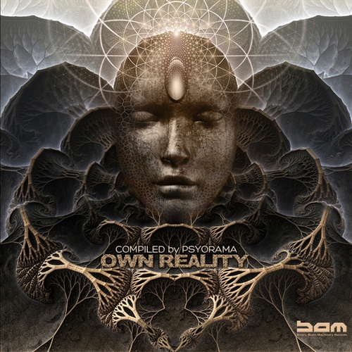 Various Artists-Own Reality by Psyorama