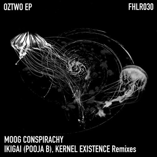 Moog Conspiracy, Ikigai (Pooja B), Kernel Existence-Oztwo