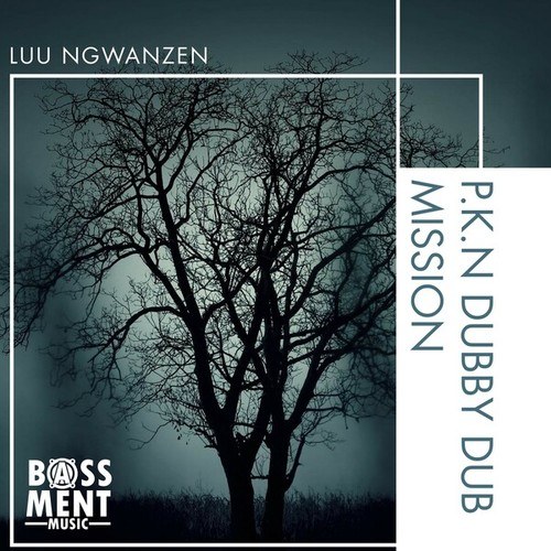 Luu Ngwanzen-P.K.N Dubby Dub Mission