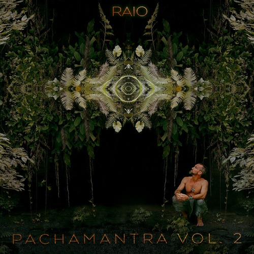 Raio, Sebatierra, Sophie Sôfrēē, Vieux Aliou Cissokho, Scott Nice-Pachamantra, Vol. 2