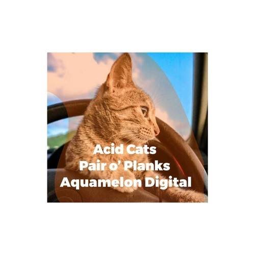 Acid Cats-Pair O' Planks