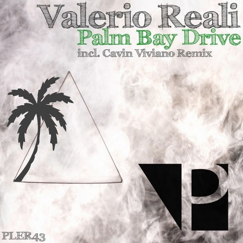 Valerio Reali-Palm Bay Drive