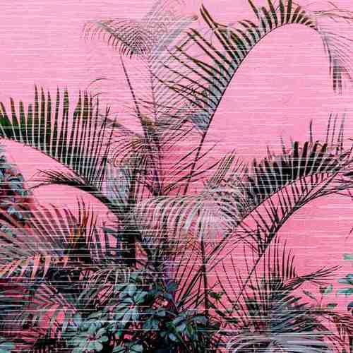 Various Artists-Palm Trees And Beats 12