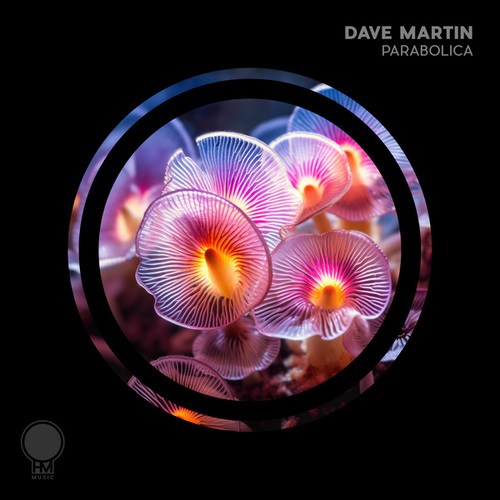 Dave Martin-Parabolica