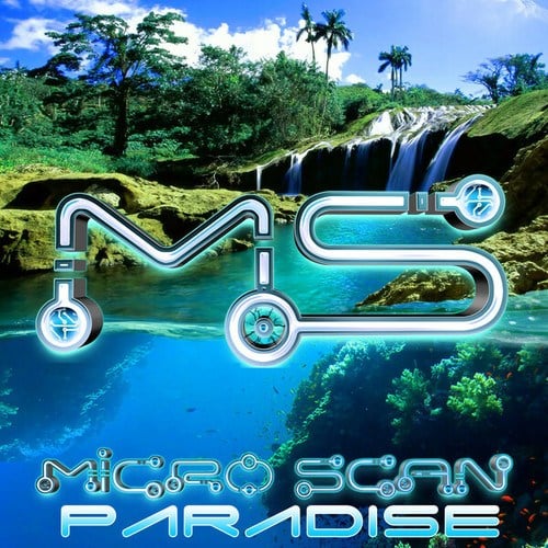 Micro Scan-Paradise