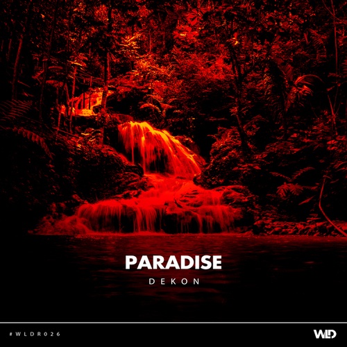 Dekon-Paradise (Radio Edit)