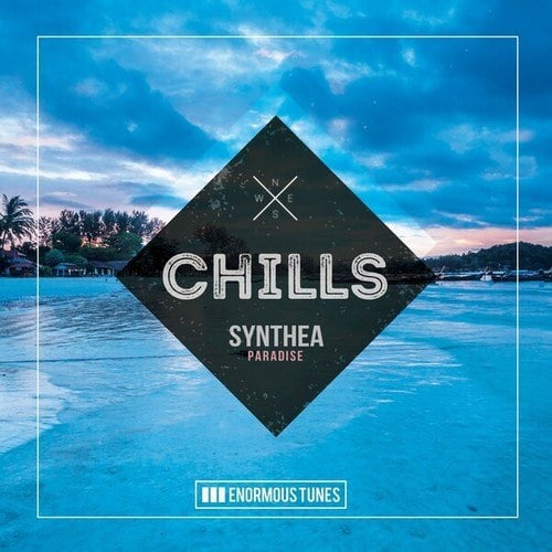 Synthea-Paradise