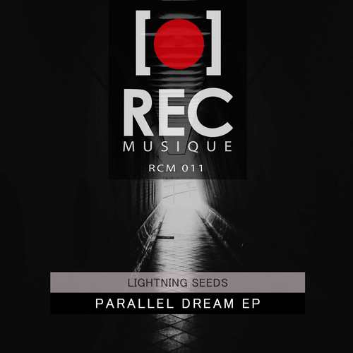 Lightning Seeds-Parallel Dream