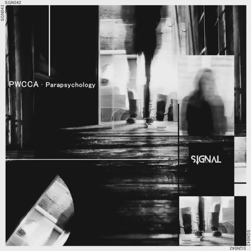 PWCCA-Parapsychology