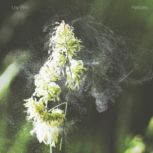 Lny Flm-Particles