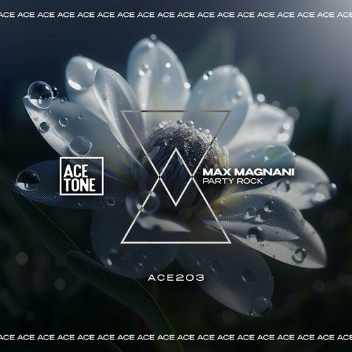 Max Magnani-Party Rock